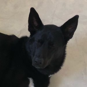 Meet your Posher, Roth